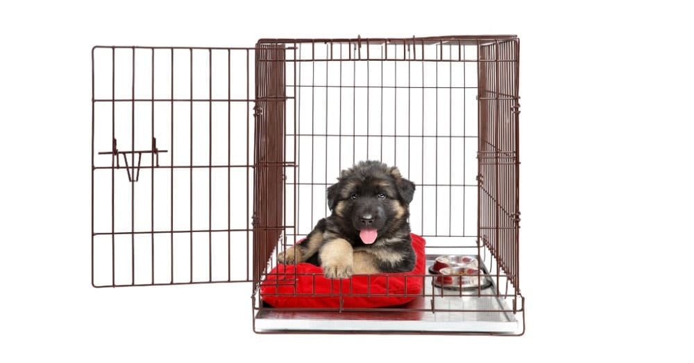 german shepherd dog crate