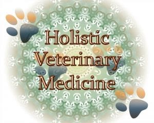 holistic veterinary medicine graphic