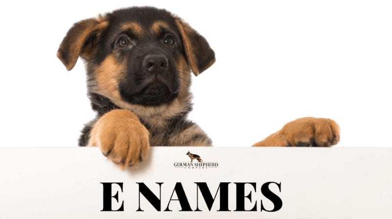 dog names that start with e