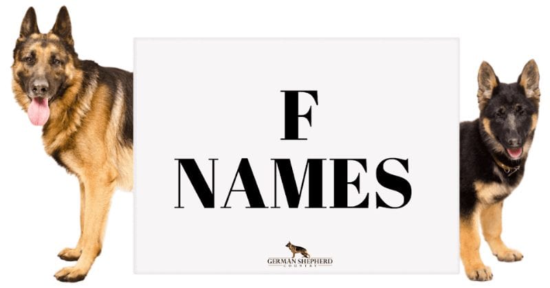 dog names that start with f