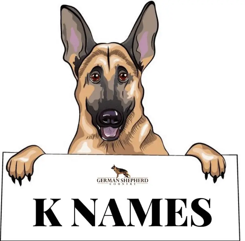 dog names that start with k