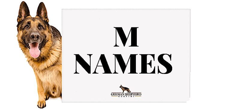 dog names that start with m