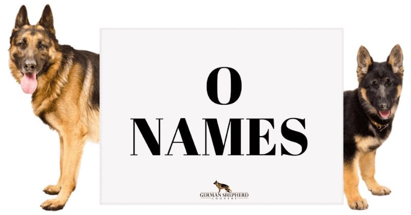 dog names that start with o