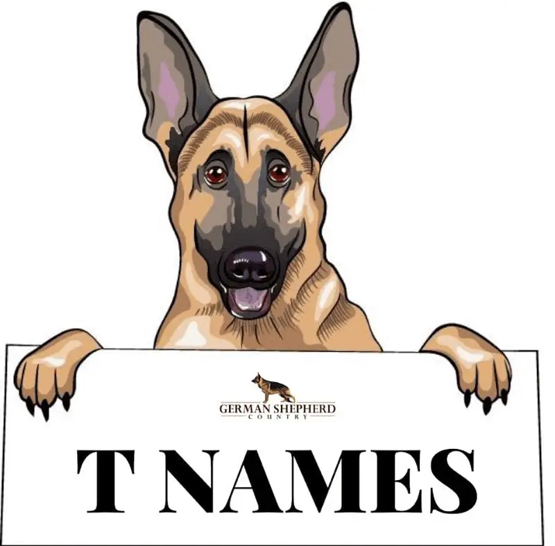 dog names that start with t