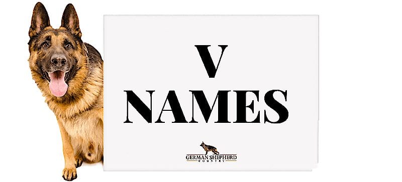 dog names that start with v