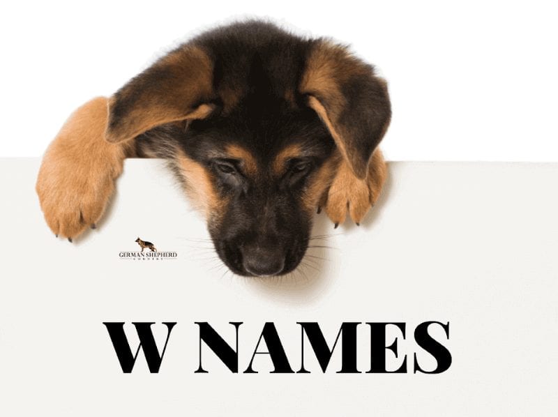 dog names that start with w