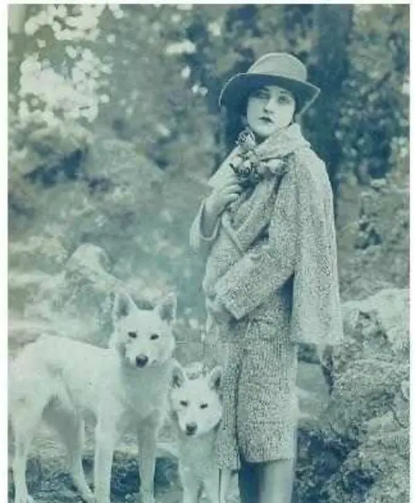 Anne Tracy and white german shepherd dogs