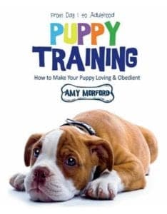 Puppy Training: From Dog to Adulthood