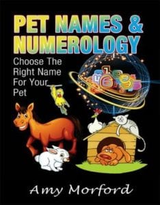 Pet Names and Numerology