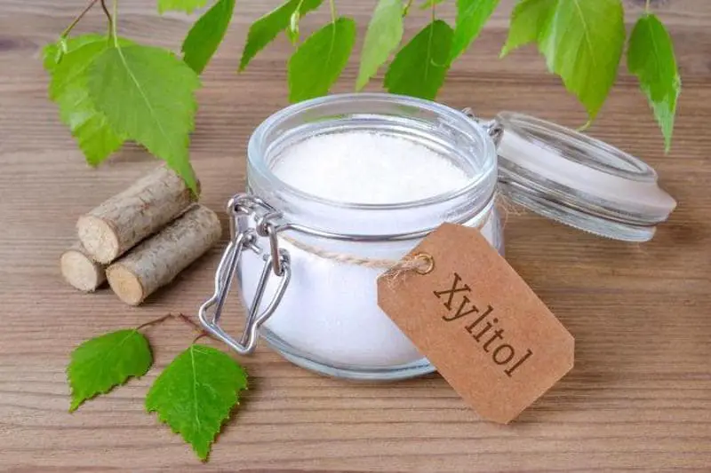 xylitol dangers for dogs