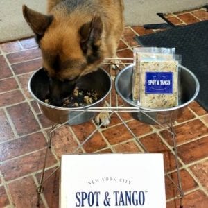 Spot and Tango Review German Shepherd Dog