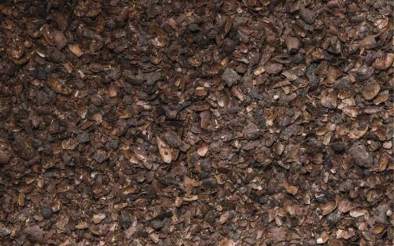 cocoa bean mulch