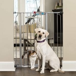 walk through dog gate