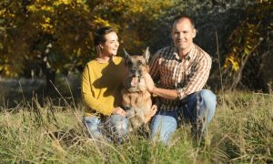 german shepherds help dating creditability