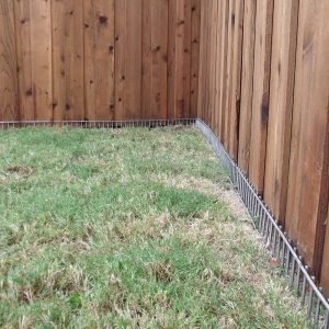 dog digging barrier