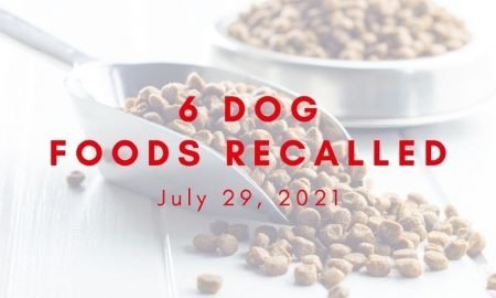 dog foods recalled