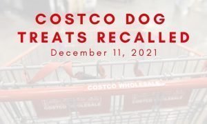 costco dog treats