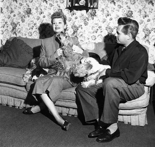 Lucille Ball and Desi Arnaz with their 3 Cocker Spaniels in the 1950s