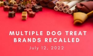 dog treat recall 2022