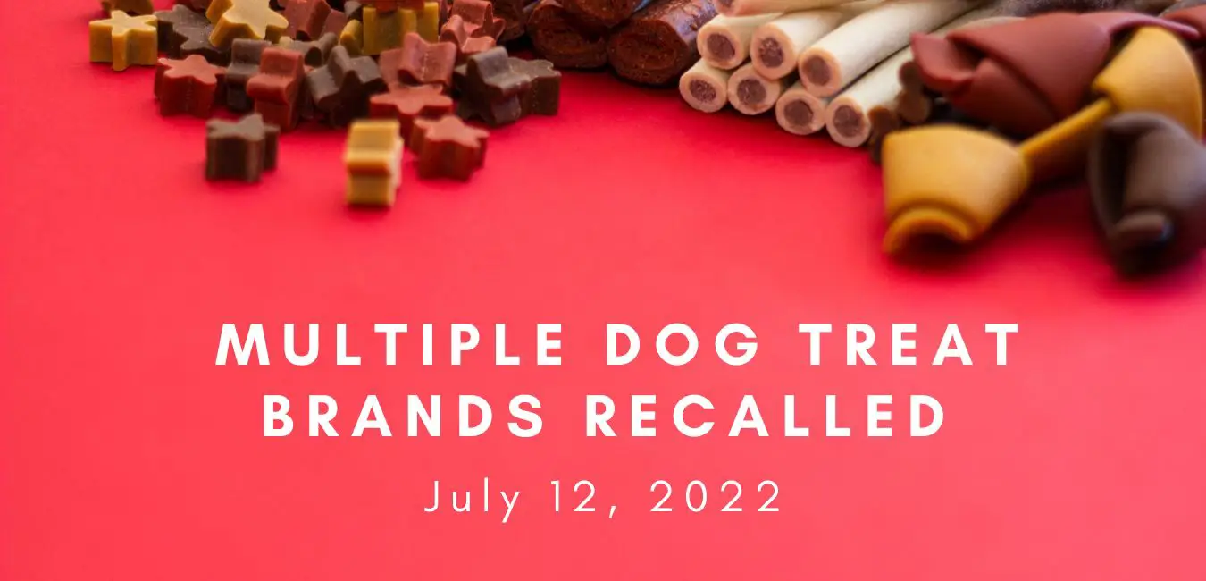 dog treat recall 2022